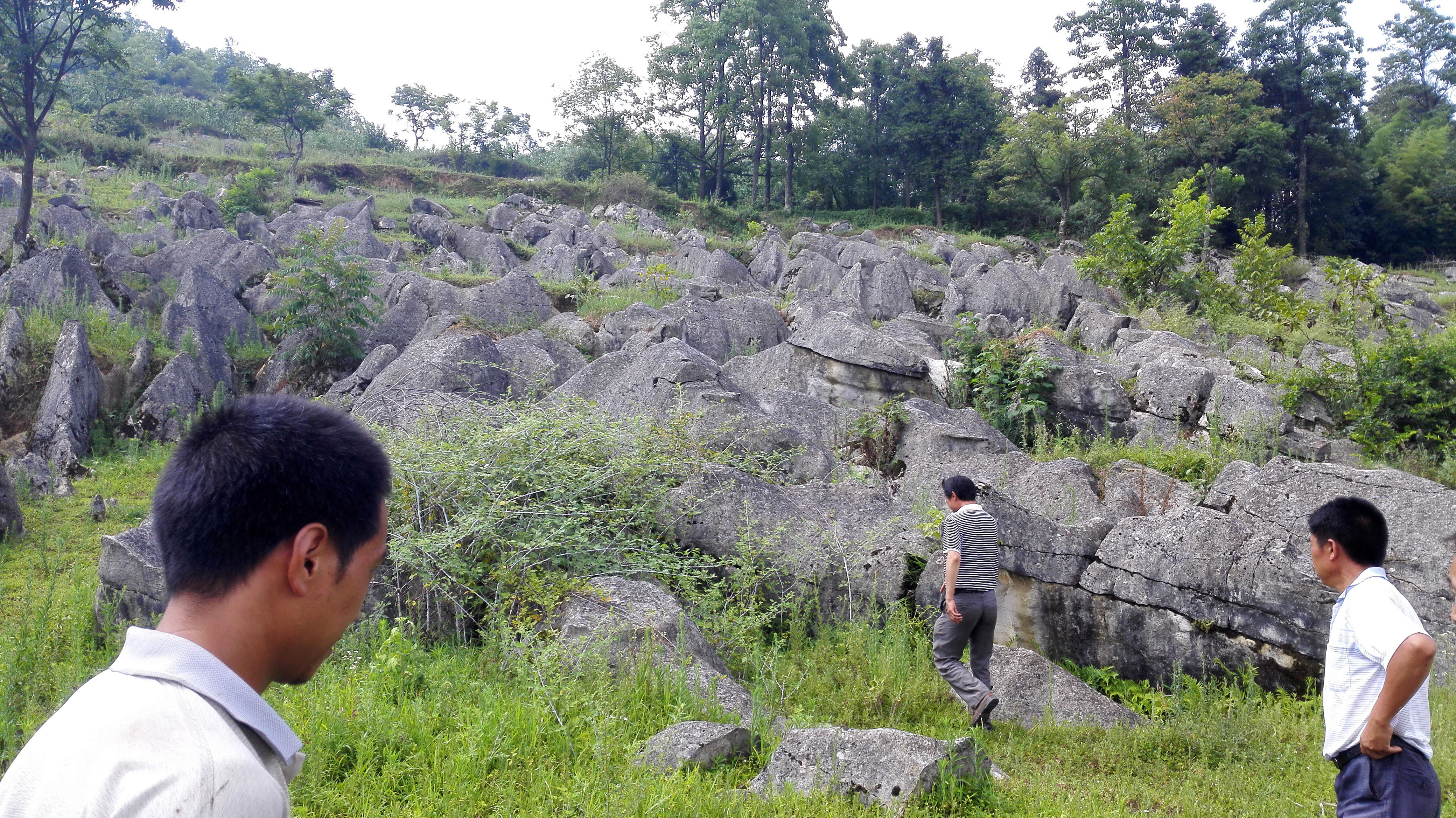 贵州师范大学喀斯特研究院 国家喀斯特石漠化防治工程技术研究中心